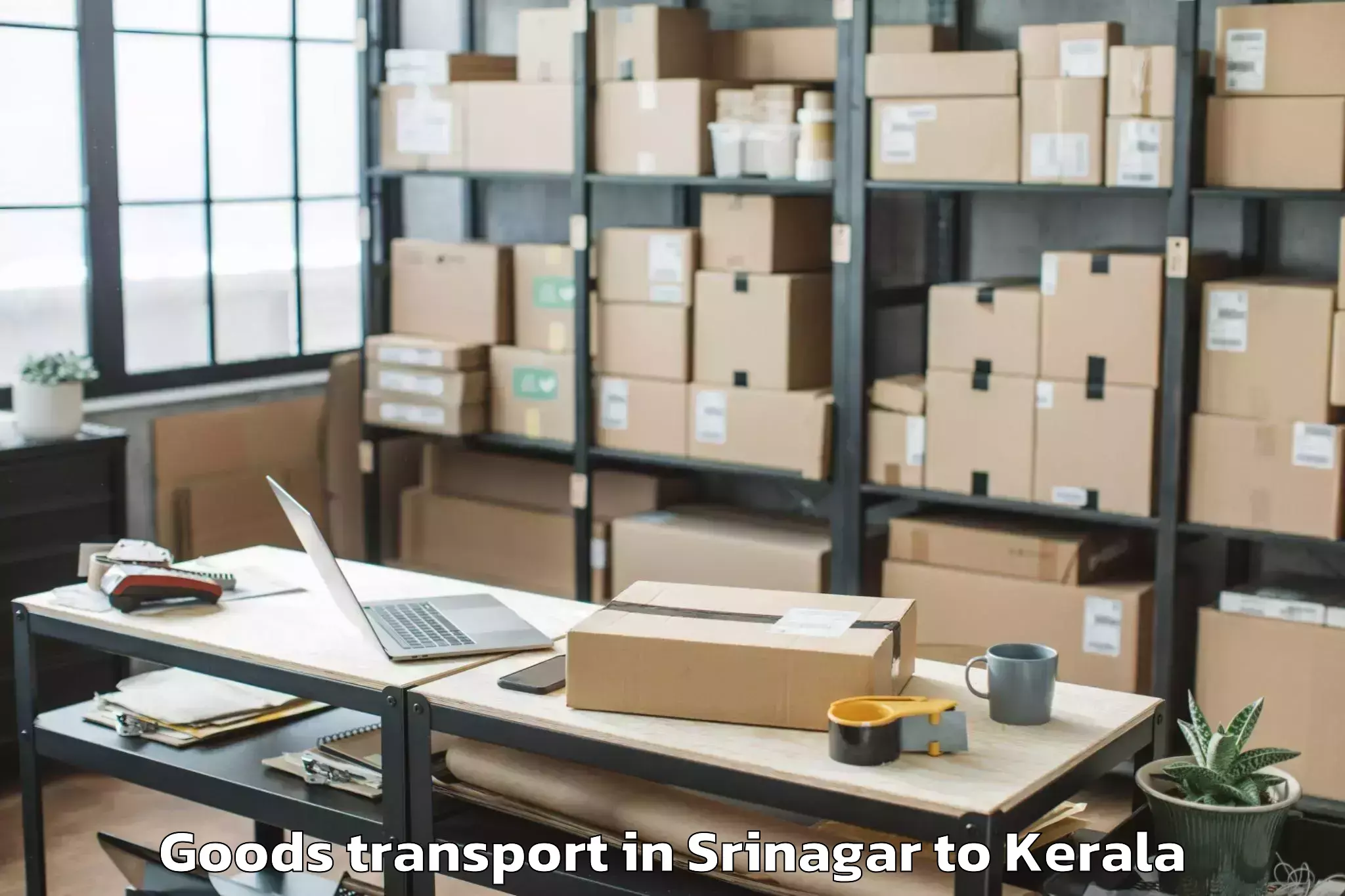 Comprehensive Srinagar to Neyyattinkara Goods Transport